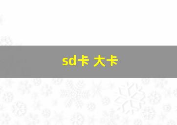 sd卡 大卡